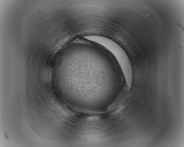 X0000099450168200805231750