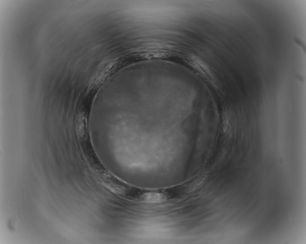 X0000099450169200805231750