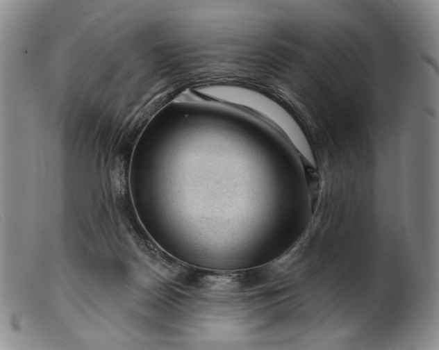 X0000099450170200805231750