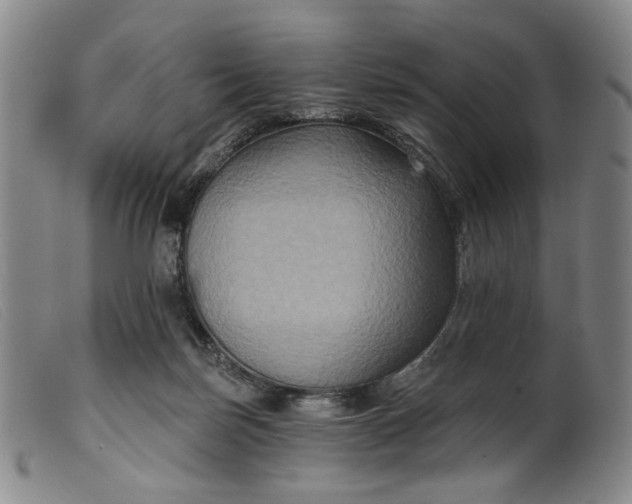 X0000099450171200805231750