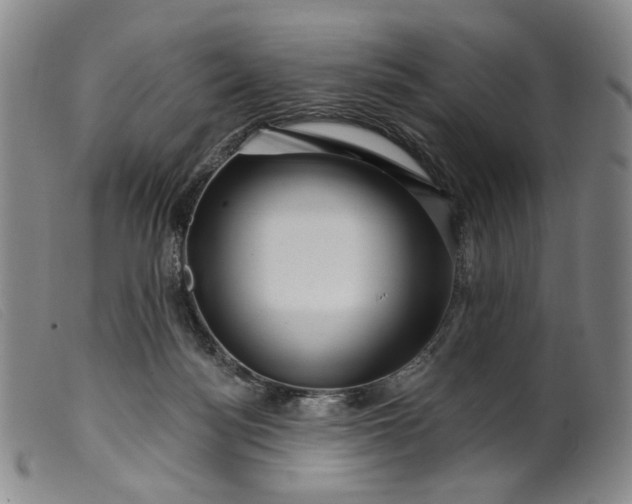 X0000099450172200805231750