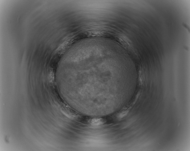 X0000099450173200805231750