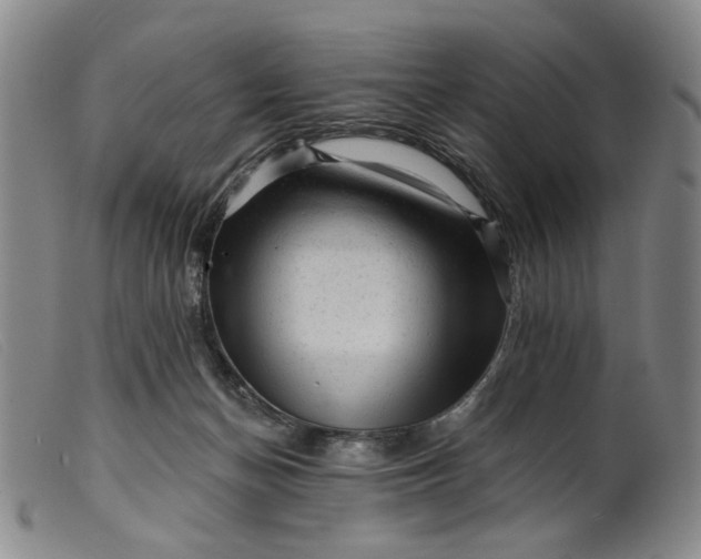 X0000099450174200805231750