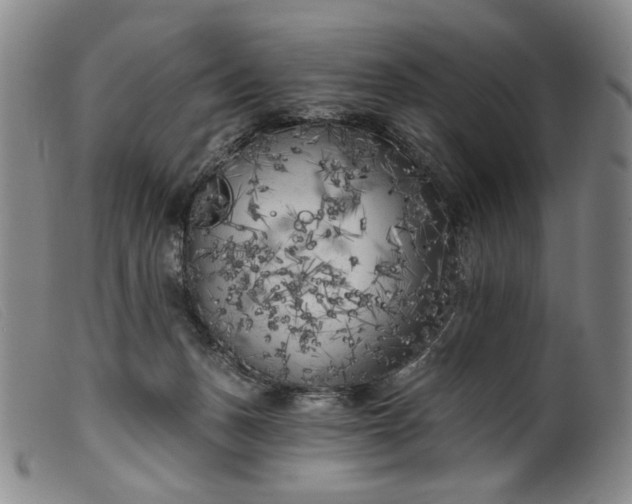 X0000099450175200805231750