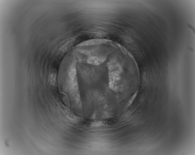 X0000099450177200805231751