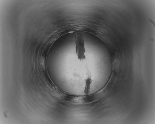 X0000099450178200805231751