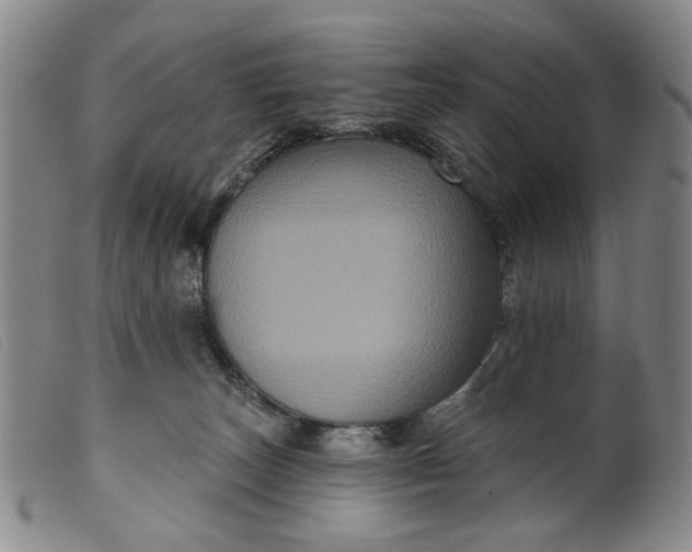 X0000099450179200805231751