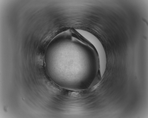 X0000099450180200805231751