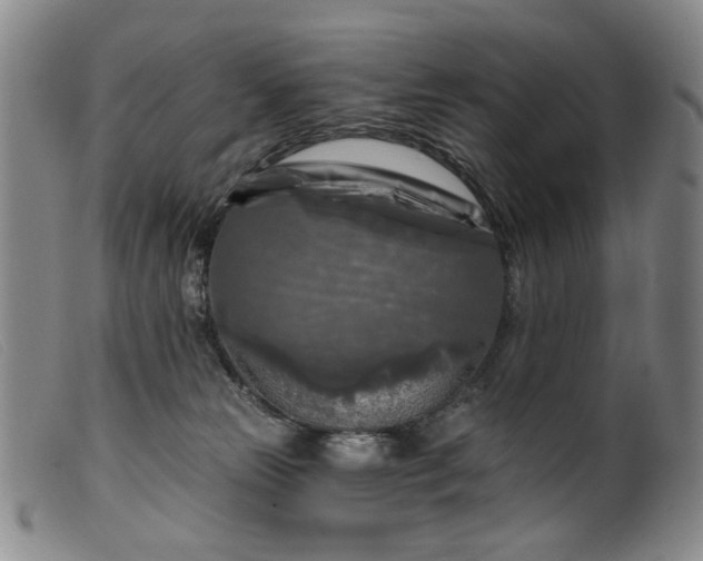 X0000099450181200805231751