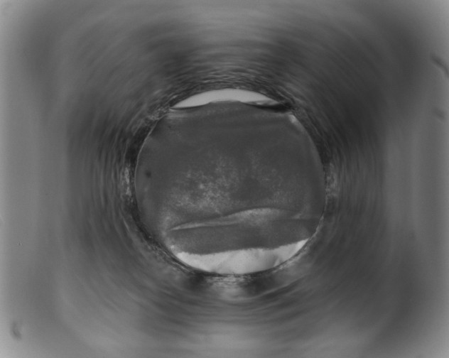 X0000099450182200805231751