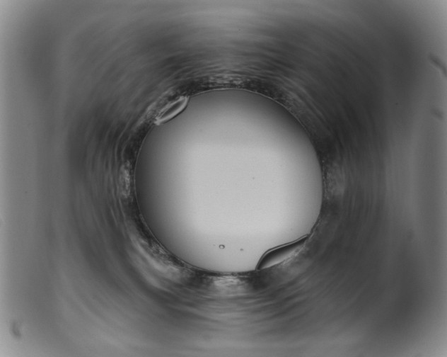 X0000099450183200805231751