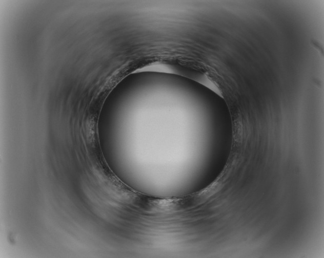 X0000099450184200805231751