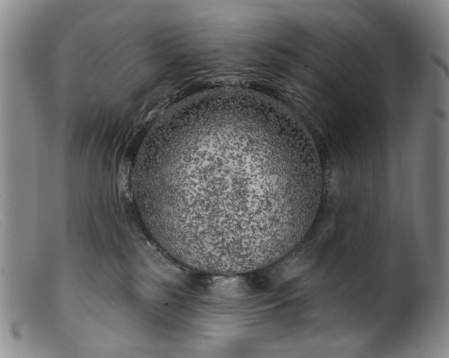 X0000099450185200805231751