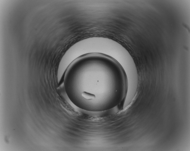 X0000099450186200805231751