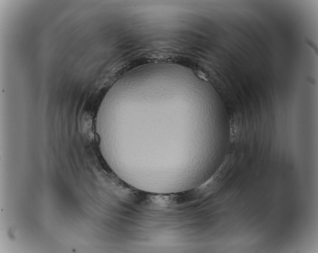 X0000099450187200805231751