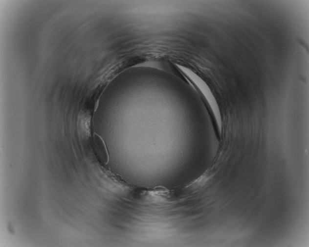 X0000099450188200805231751