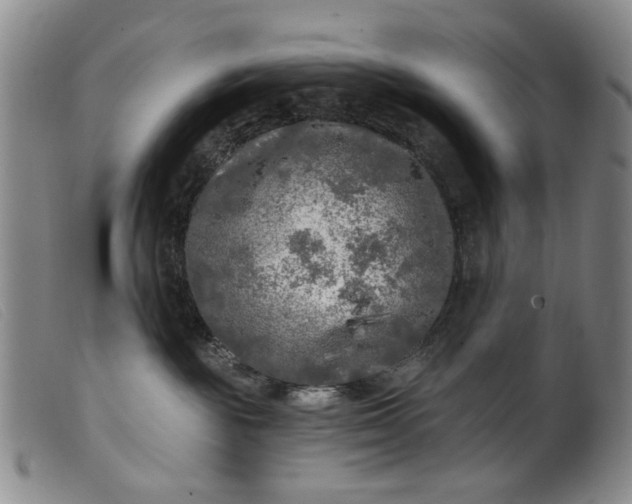 X0000099450189200805231751