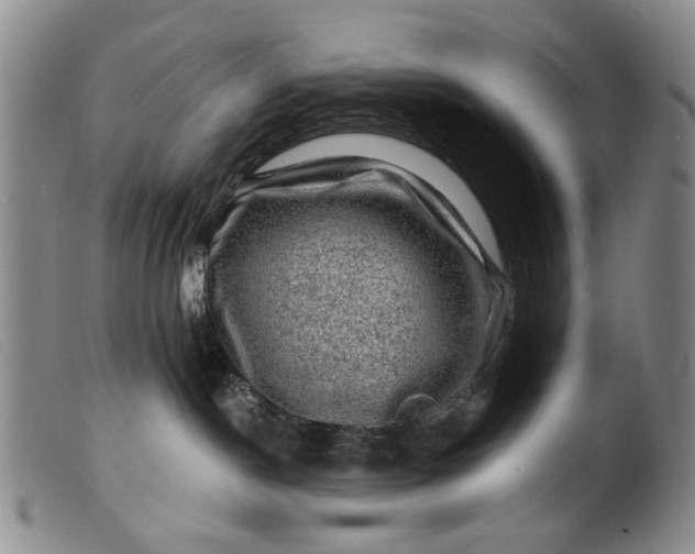 X0000099450190200805231751