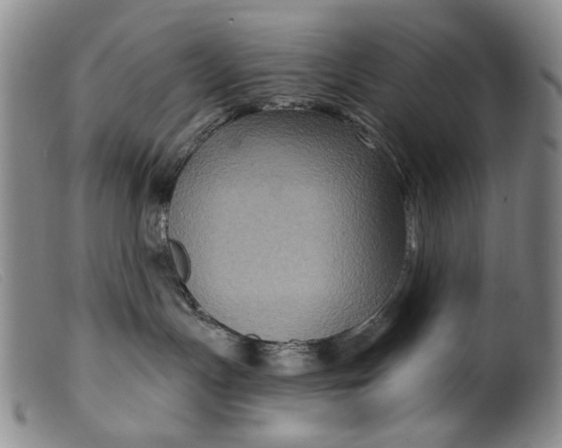 X0000099450191200805231751