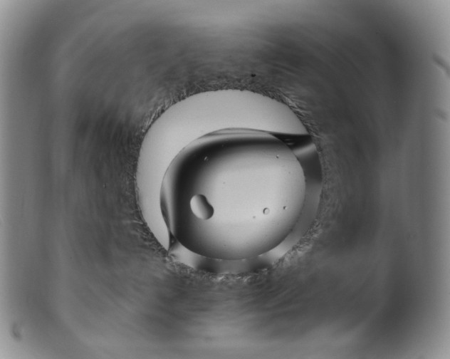 X0000099450192200805231751