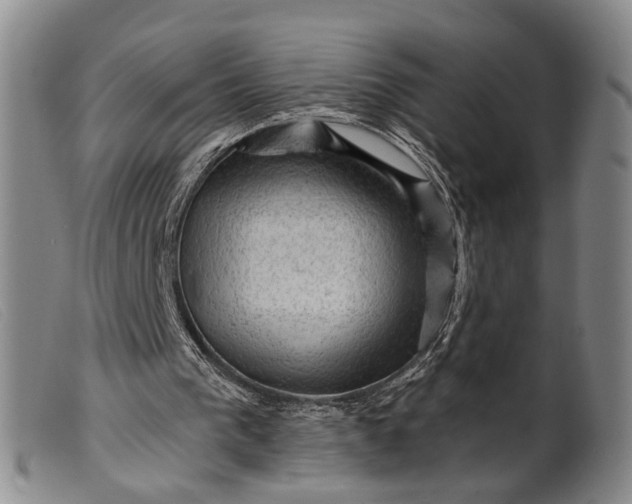 X0000099450193200805231750