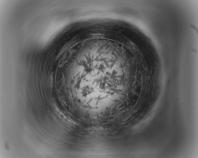 X0000099450194200805231750