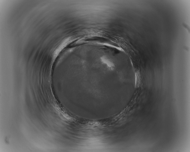 X0000099450195200805231750