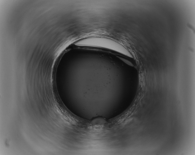 X0000099450196200805231750