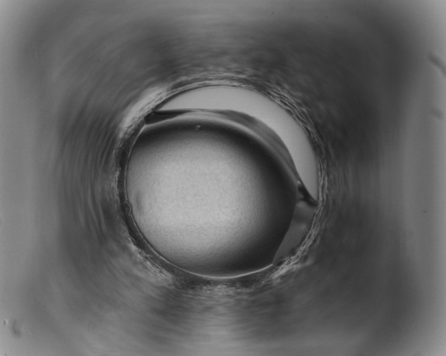 X0000099450197200805231750