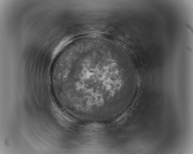 X0000099450198200805231750