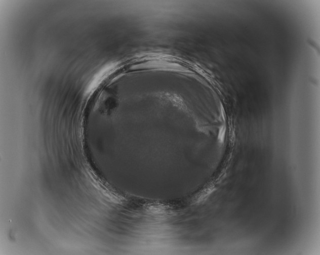 X0000099450199200805231750