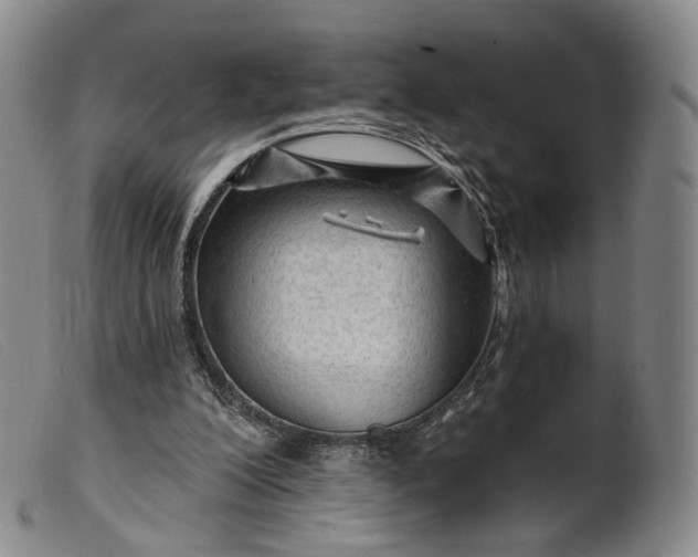 X0000099450200200805231750