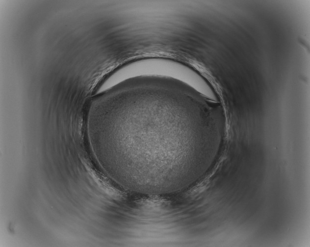 X0000099450201200805231750