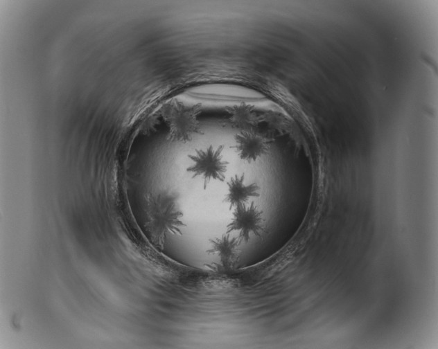 X0000099450202200805231750