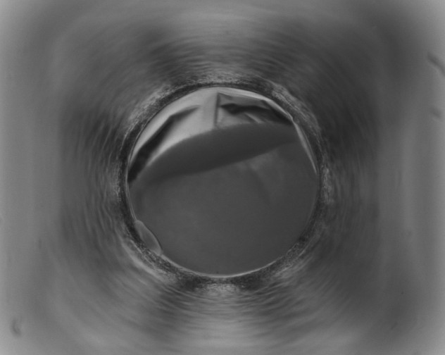 X0000099450203200805231750