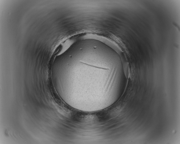 X0000099450204200805231750