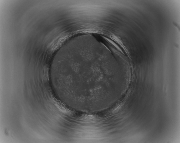 X0000099450205200805231750