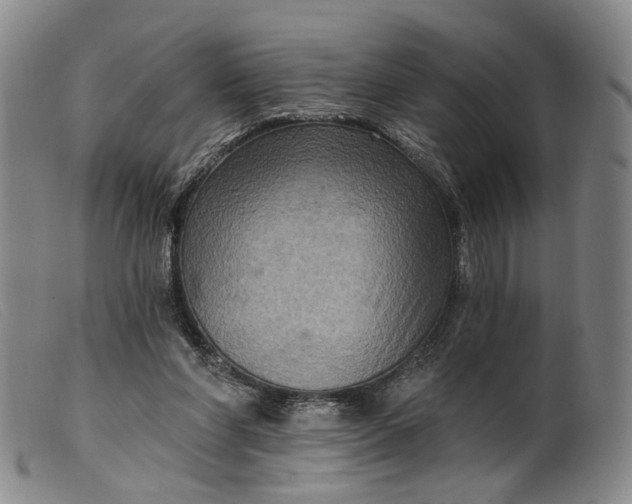 X0000099450206200805231750