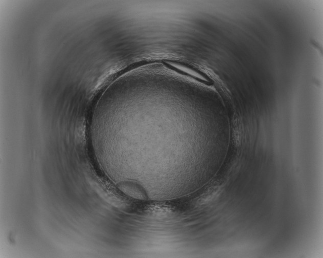 X0000099450207200805231750