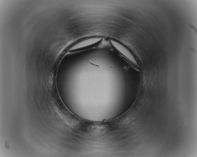 X0000099450208200805231750