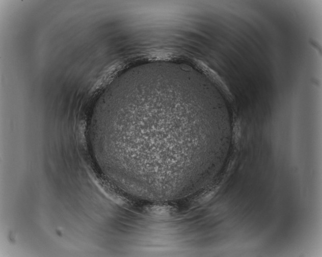 X0000099450209200805231750