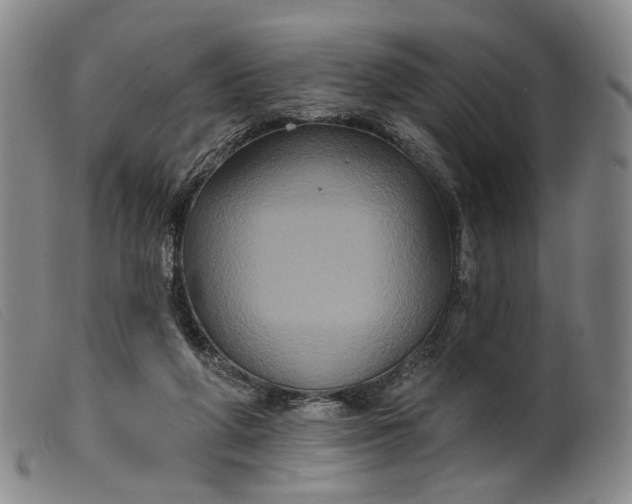 X0000099450210200805231750