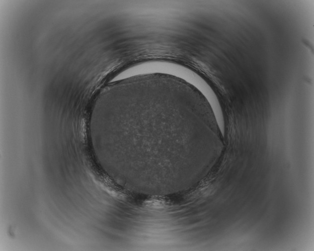 X0000099450211200805231750