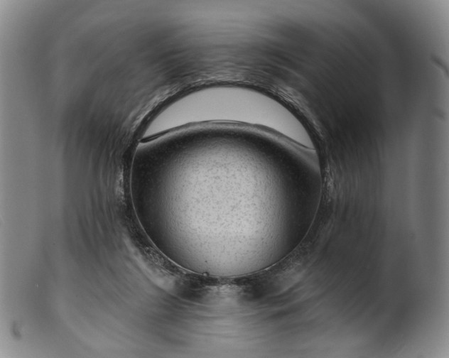 X0000099450212200805231750