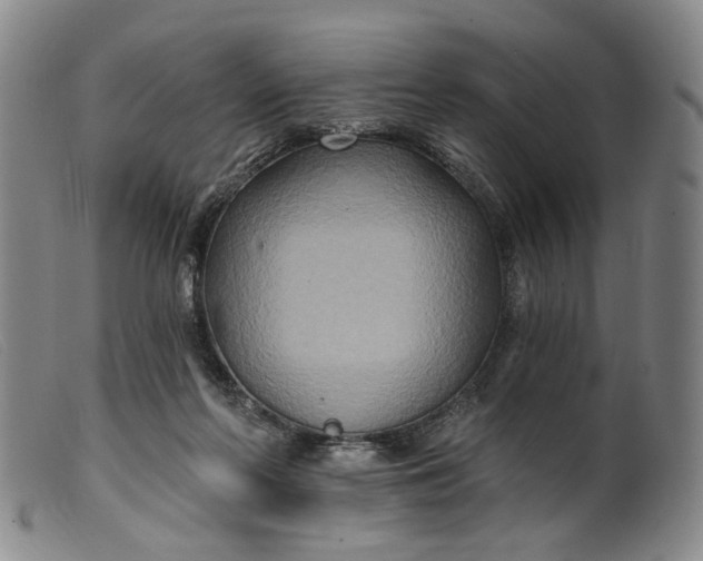 X0000099450214200805231750