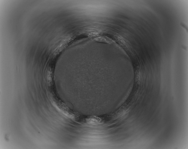 X0000099450215200805231750