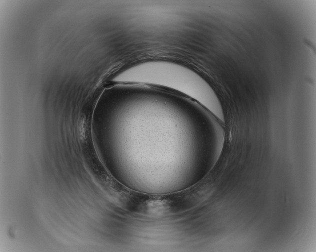 X0000099450216200805231750