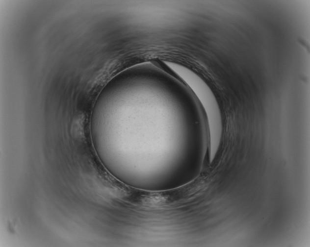 X0000099450217200805231750