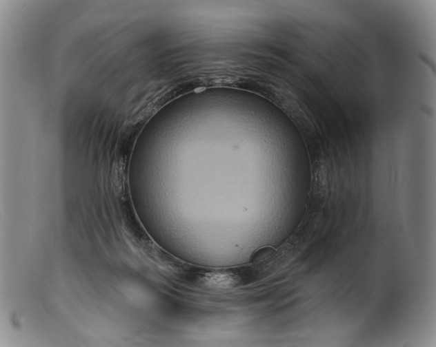 X0000099450218200805231750