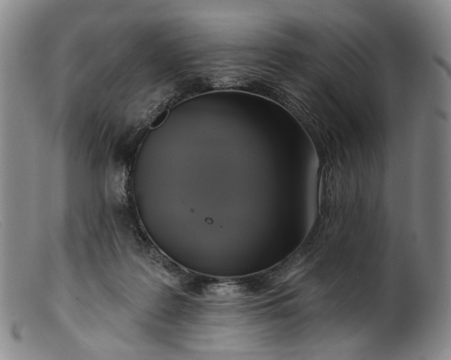 X0000099450219200805231750